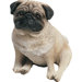 Original Size Pug Pup Sculpture in Fawn