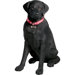Life Size Large Labrador Retriever Sculpture in Black