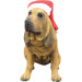 Bloodhound Christmas Ornament