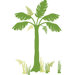 ZooWallogy Fundango Tree Decal