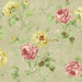 Willow Cottage Rose Trail Wallpaper in Khaki