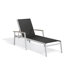 Travira Chaise Lounge (Set of 2)