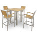 Ivy Terrace 5 Piece Bar Set