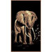 African Adventure Elephant 1 Novelty Rug