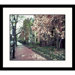 First Sign of Spring Framed Photograph