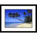 Palm Trees on Ocean Beach