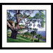 Grand Old Oak Framed Photograph