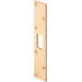 Deadbolt Strike Latch