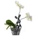"Stanza Scirocco" Vase Cover in Black