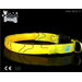 LED Flash Collar