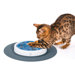 Catit Design Senses Scratch Pad Cat Toy