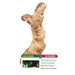 GEOsystem Mopani Driftwood Ornamental Root