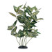 Marina Ecoscaper Houttoynia Cordata Silk Plant