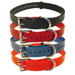 Collar with Roller Buckle and Nickel Hardware
