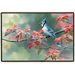Blue Jay Doormat