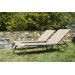 Quick Ship Gardenella Chaise Lounge (Set of 2)