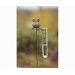 Stone Frog Rain Gauge