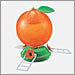 Orange Oriole Feeder