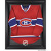NHL Display Case