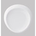 Tao 6.3" Flat Plate