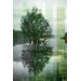 Reflective Wall Art
