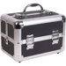 Makeup Train Case with 2-Tiers