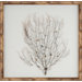 Natural Bamboo Sea Fan Art