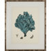 Turquoise Coral IV Art