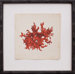 Mini Red Coral III Art
