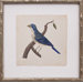 Mini Levallion Bird II Art