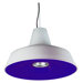 Officina H2 Suspension Lamp