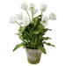 Clay Pot with White Tulips