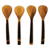Mixed Horn Wide Spoon (Set of 4)