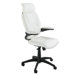 InCite High Back Executive Chair