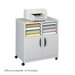 Mobile Wood Machine Stand with Sorter