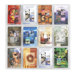 Reveal Clear Literature Displays, 12 Compartments, 30" High