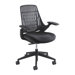 Thrill Task Chair