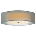 Puri 3 Light Flush Mount