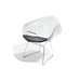 Bertoia Diamond Chair