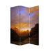 Desert Screen