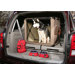 Dog Digs Collapsible Pet Crate