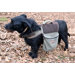 Dog Backpack