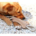 Tug Bone Dog Toy
