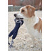 Smiley Bone Dog Toy