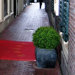 Artificial Boxwood Buxus Ball
