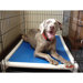 Elevated Chew-Proof Crate Dog Bed