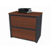 Prestige +  Assembled Lateral File
