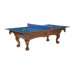 Paragon Table Tennis Conversion Top in Blue