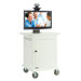 Medical Video Conferencing Stand for 42" Monitor