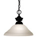 1 Light Pendant